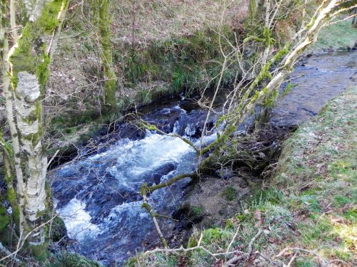29.-Upstream-from-ROW-BRidge-3217-2