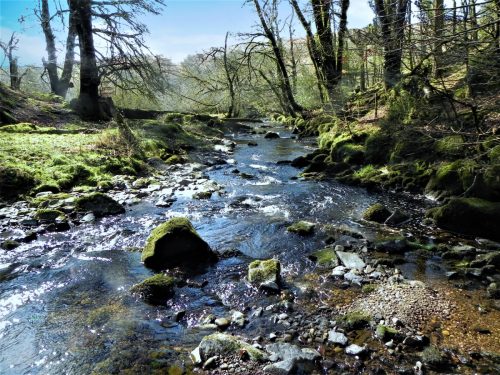 29.-Upstream-from-Shircombe-Rocks-2