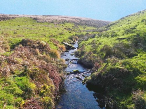 29a.-Looking-upstream-from-Three-Combes-Foot-Bridge-A-3