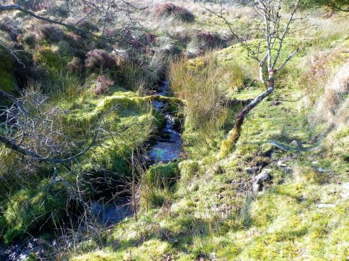 3.-Bagley-Combe-Headwater-2