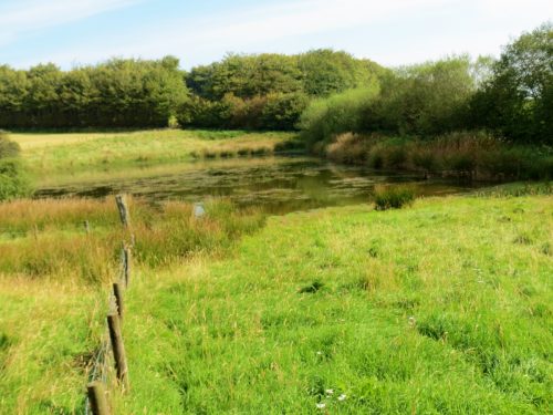 3.-Beverton-Pond-2