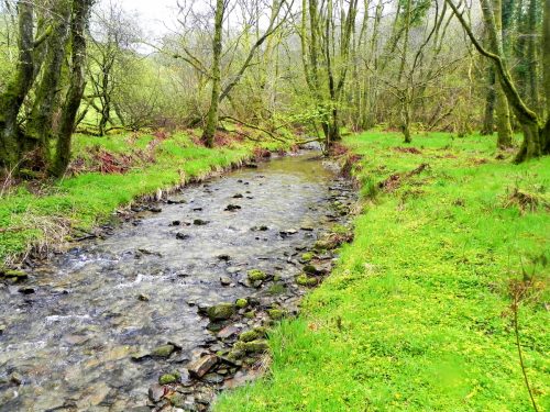 3.-Downstream-from-A39-Culvert-2