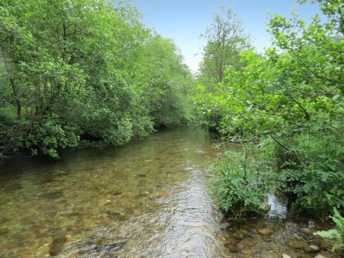 3.-Downstream-from-Chilly-Bridge-1