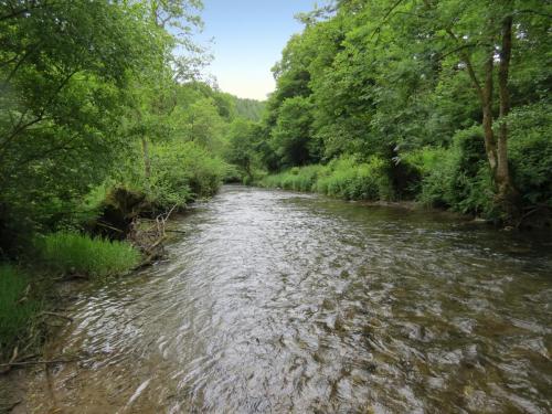 3.-Downstream-from-Chilly-Bridge-13