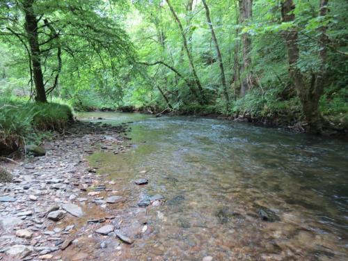 3.-Downstream-from-Chilly-Bridge-45