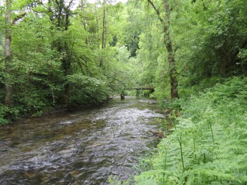 3.-Downstream-from-Chilly-Bridge-59