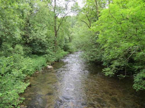 3.-Downstream-from-Chilly-Bridge-64