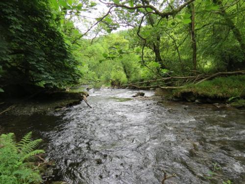 3.-Downstream-from-Chilly-Bridge-75