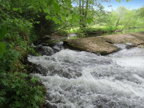 3.-Downstream-from-Hele-Bridge-1