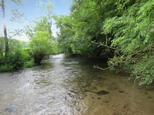 3.-Downstream-from-Hele-Bridge-11