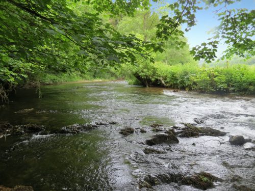 3.-Downstream-from-Hele-Bridge-15