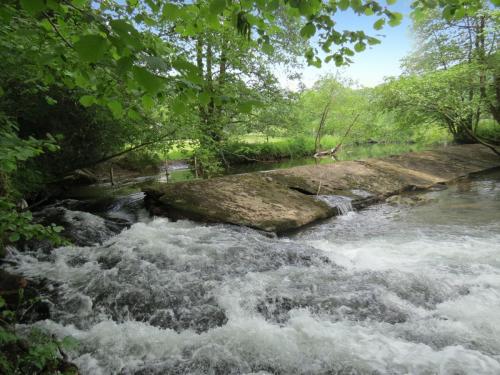 3.-Downstream-from-Hele-Bridge-4