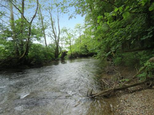 3.-Downstream-from-Hele-Bridge-6