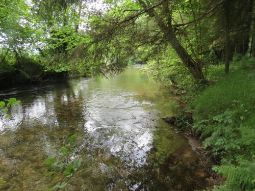 3.-Downstream-from-Hele-Bridge-7