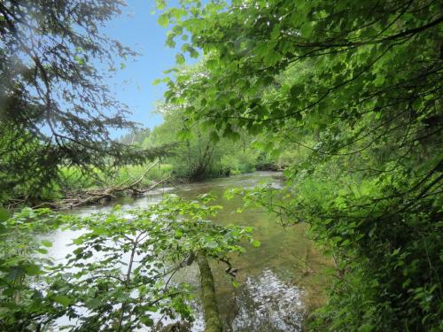 3.-Downstream-from-Hele-Bridge-9