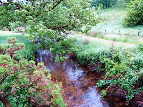 3.-Downstream-from-Sparcombe-Water-2