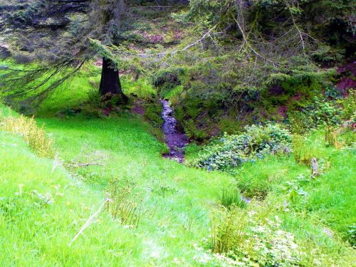 3.-Flowing-through-Chargot-Woods-13