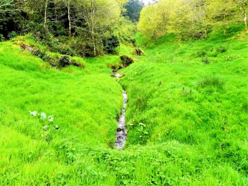 3.-Flowing-through-Chargot-Woods-18