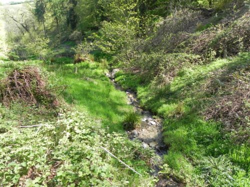 3.-Flowing-through-Treborough-Plantation-10
