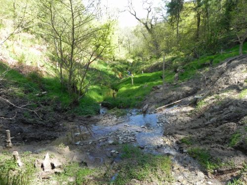 3.-Flowing-through-Treborough-Plantation-11