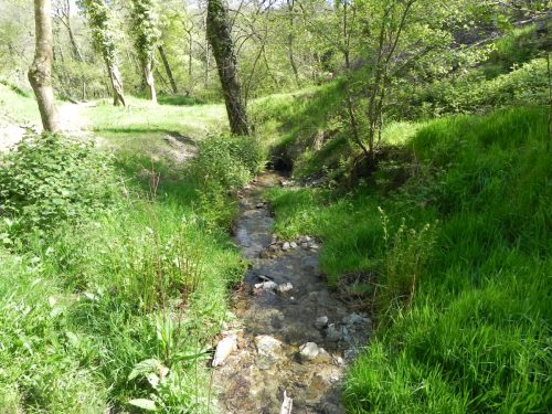 3.-Flowing-through-Treborough-Plantation-18