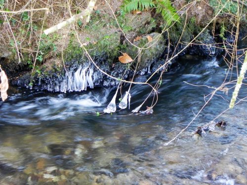 3.-Icicles-near-Luckwell-Bridge-2