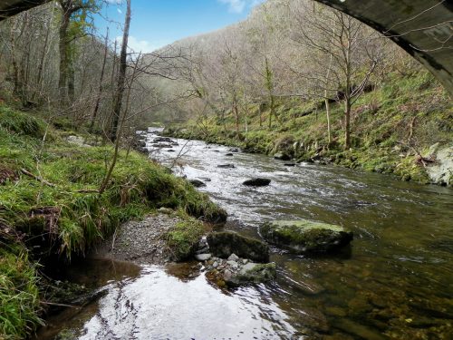 3.-Looking-Upstream-from-Chislecombe-Bridge-2