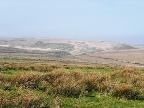 3.-Looking-across-to-Long-Chains-Combe-from-near-Exehead-2