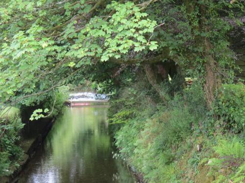 3.-Looking-downstream-from-Exford-Bridge-3