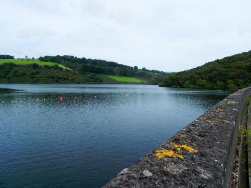 3.-Looking-north-west-from-dam-2