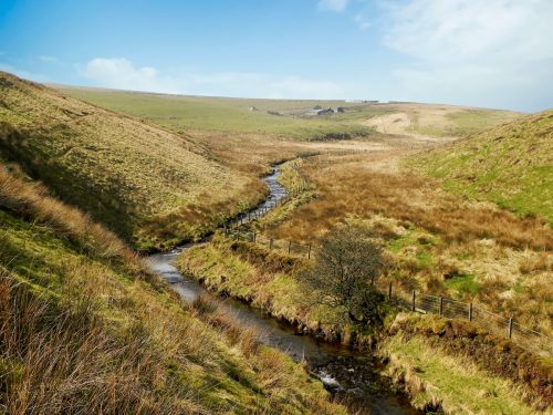 3.-Looking-upstream-to-Aclands-Farm-2