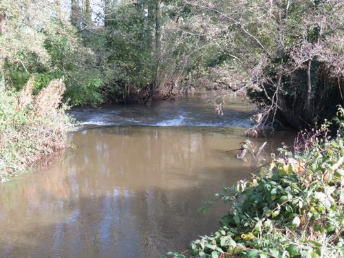 3.-Looking-upstream-to-Nynehead-Park-weir