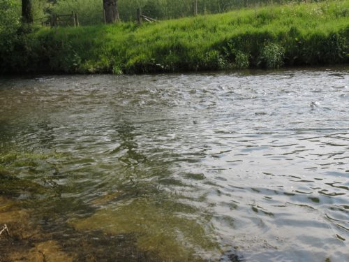 3.-Meeting-of-the-Waters-2