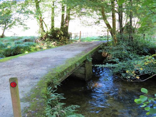 3.-Nethercote-Bridge-downstream-face-2