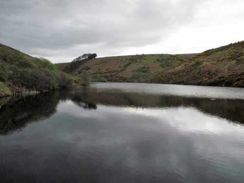 3.-Nutscale-Reservoir-1