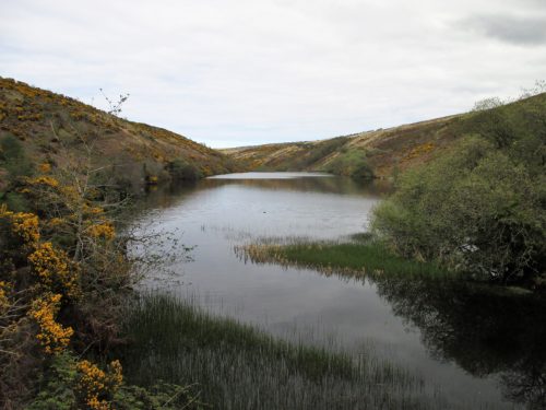 3.-Nutscale-Reservoir-2