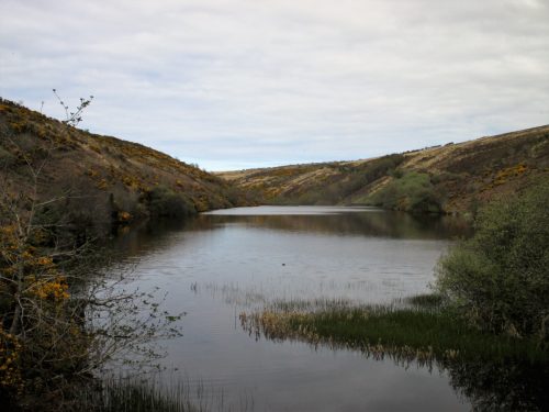 3.-Nutscale-Reservoir-3