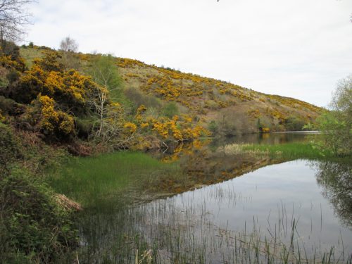3.-Nutscale-Reservoir-5
