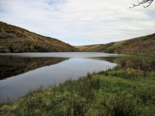 3.-Nutscale-Reservoir-6