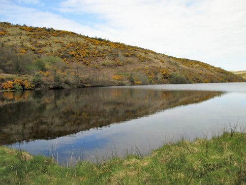 3.-Nutscale-Reservoir-7