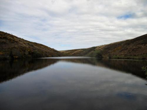 Nutscale Reservoir