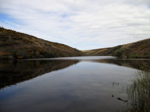 3.-Nutscale-Reservoir