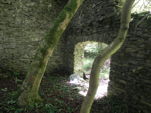 3.-Ruined-building-near-Ragstone-Cottages-1