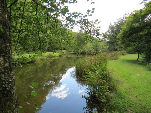 3.-Stawley-Mill-pond