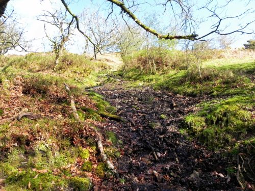 3.-The-early-stream-2