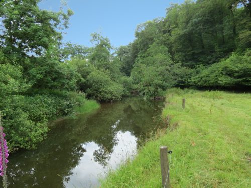 3.-Upstream-from-Bridgetown-Mill-Weir-1
