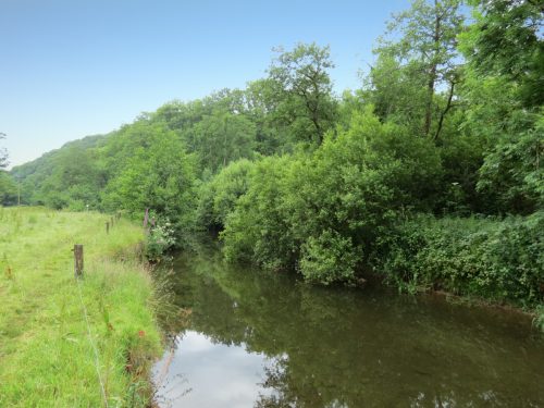 3.-Upstream-from-Bridgetown-Mill-Weir-2