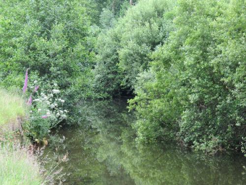 3.-Upstream-from-Bridgetown-Mill-Weir-3