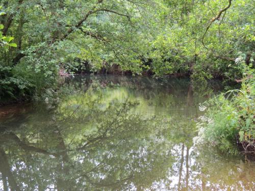 3.-Upstream-from-Bridgetown-Mill-Weir-4