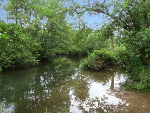3.-Upstream-from-Bridgetown-Mill-Weir-5